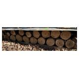 FIREWOOD 2FT X 8FT