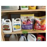 FLOWER MIX+LIME SHELF FULL