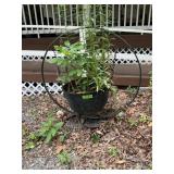 CAST IRON POT W FRAME FOR PLANTS