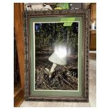 MUSHROOM PICTURES 42' X 30'