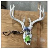 HAND PAINTED DEER SKULL
