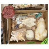 SHELLS & ROCKS ï¿½ LARGE QUARTZ, CONCH SHELLS, ETC