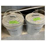 METAL BUCKETS 1W SEED