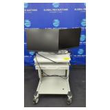 Biosense Webster Carto 3 System