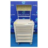 Lionville 800 Series Medication Cart