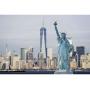 Medical and Surgical Equipment Auction New York 2610
