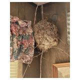 Large Paper Wasp Nest with Attached Branch