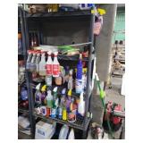Cleaning Supplies on Shelving Unit