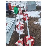 Poultry Feed Lines With Feeders