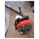 Echo PB-580T Backpack Blower