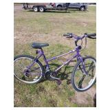 Purple Schwinn Cruiser Bike
