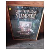 Buffalo Bill Cody Stampede Poster
