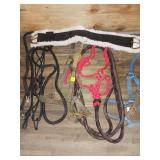 Horse Halters and Reins