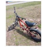 Red Youth SCHWINN STINGRAY