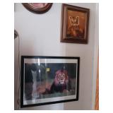 5 Tiger and Lion Pictures