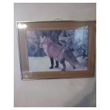 Framed Fox Print Under Glass