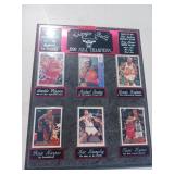 Chicago Bulls 1996 NBA Champions Card Plaque