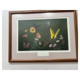Vintage R. Harm American Butterflies Artwork