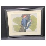 Framed Red-Bellied Woodpecker Print