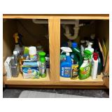 Various Cleaning Supplies