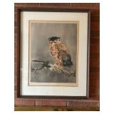 Framed Owl Artwork Signed and Numbered
