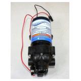 Everflo 12-Volt Pump