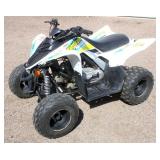 2021 Yamaha Raptor YFM90 Youth 4-Wheeler