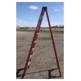 Werner Fiberglass/Alum Step Ladder, 8