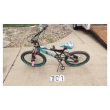 Tempest Pro 20 Series Bicycle 20'