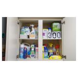 Contents Of Cabinet Cleaning Supplies