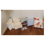 6 Assorted Pillows