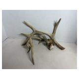 Deer sheds