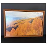 32"x22" Framed Aspen Trees Picture