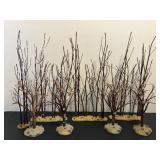 Misc birch trees 6 to 11 inch