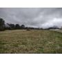 3-Bedroom Brick Home One 11.484 Acres± As A Whole