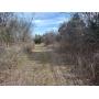 21 Wooded Acres± Of Prime Recreational Land:  Lincoln Co.