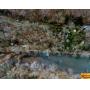 0.5 Acre± Vacant Riverfront Lot On Elk River