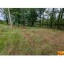 (5) Ready For Building Residential Lots On Creek