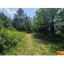 Estate Auction:  11 Acres± As A Whole In Giles County