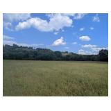 SIMULCAST ESTATE AUCTION:  707 Acres± In Tracts With 4 Houses, Tractor & Equipment