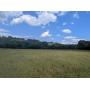 SIMULCAST ESTATE AUCTION:  707 Acres± In Tracts With 4 Houses, Tractor & Equipment