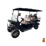 SDLANCH SDLGC100  6-Seater Golf Cart (Brand New)