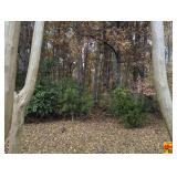 A 4.1 Acre± Wooded Building Lot In South Huntsville