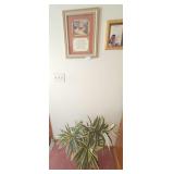 Letter From Heaven Picture & Faux Plant