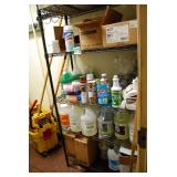 Assorted Cleaning and Sanitizing Supplies