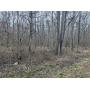 The Perfect 20 - Wooded Madison County Acreage at Auction