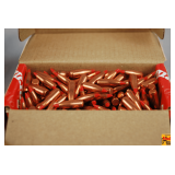 Hornady .22 Cal .224 50 GR V-MAX Bullets