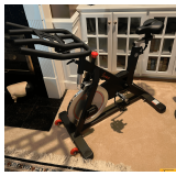Sunny Exercise Bike