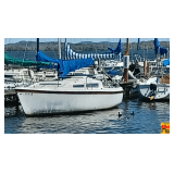 Green Energy/Solar Powered Sailboat (docked at Lake Guntersville)