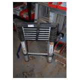Telescoping Extension Ladder